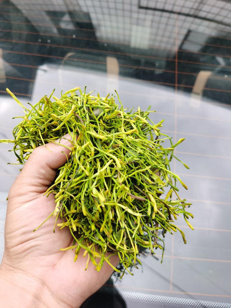 金银花（山银花），湖南湘宇农业优质产品今年新货上市价格美