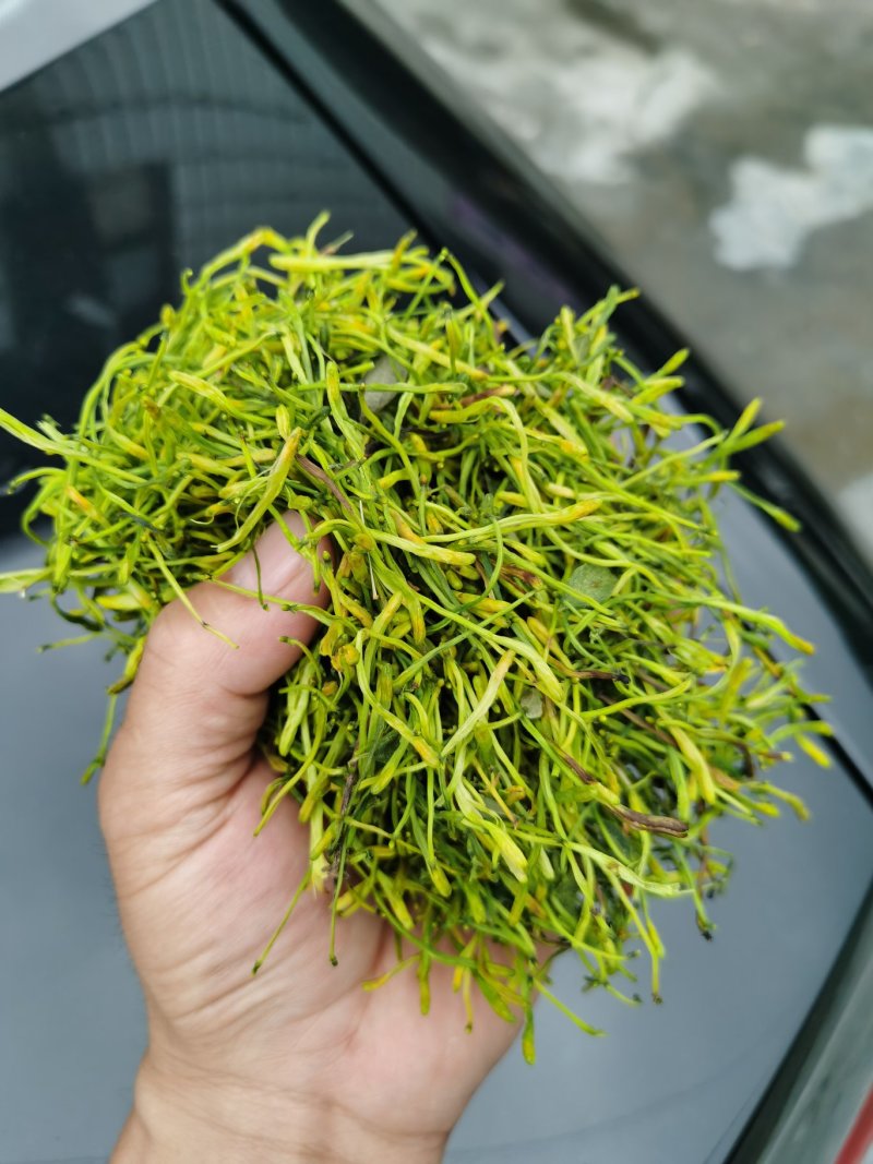 金银花（山银花），湖南湘宇农业优质产品今年新货上市价格美