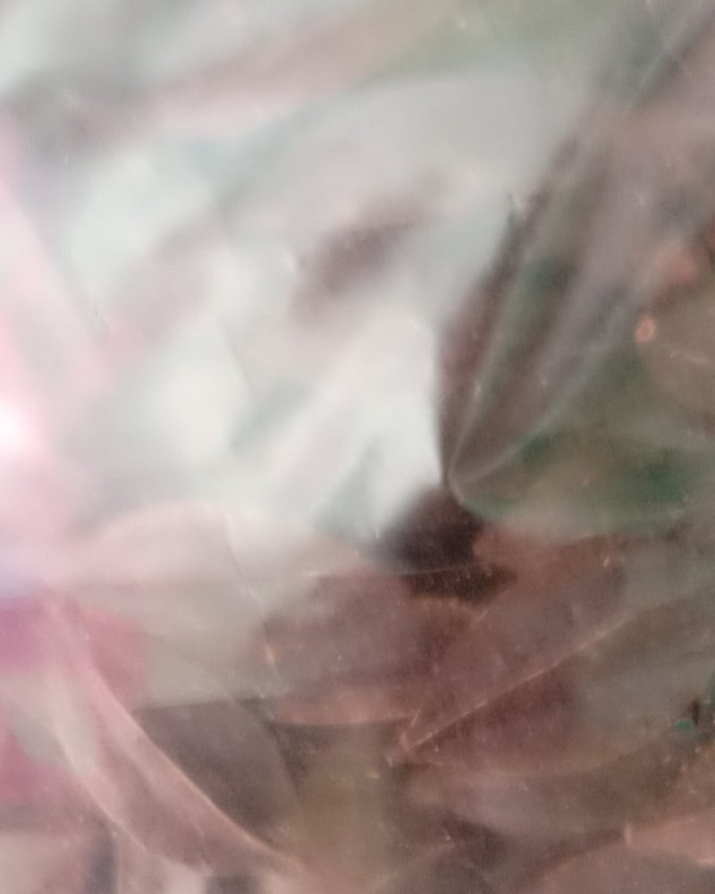 使君子，常年批发供应江西使君子大货中药材
