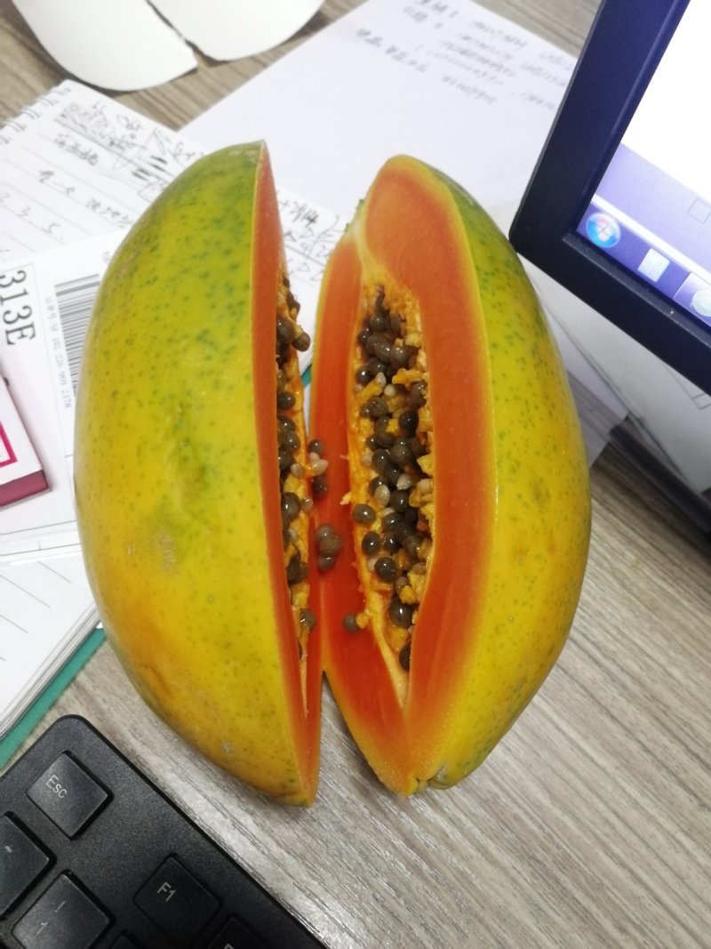 雷州冰糖红心木瓜大青品种顺丰一件代发