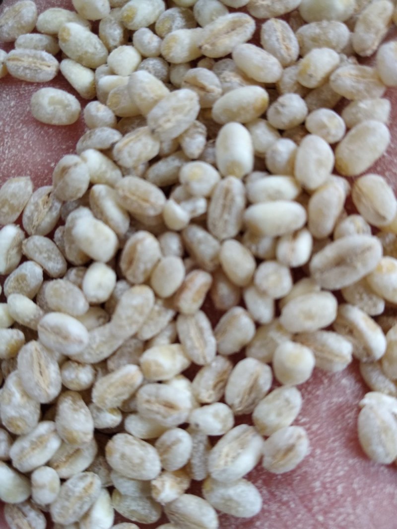 麦仁