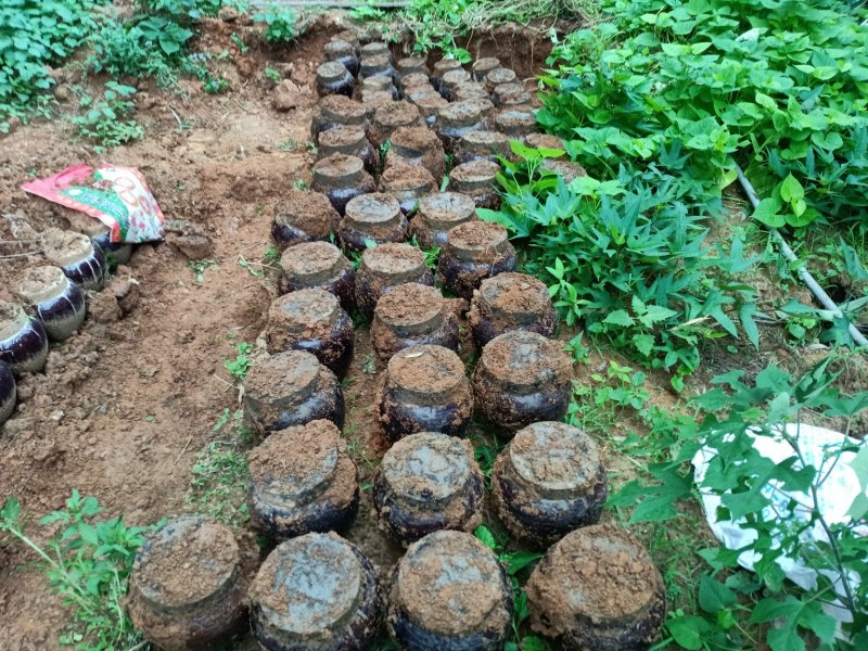 粤北地窖酒纯粮酒送礼佳品