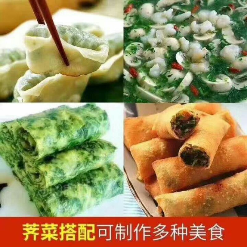 脱水荠菜碎脱水荠菜整颗长期合作饺子包子连锁店食品厂