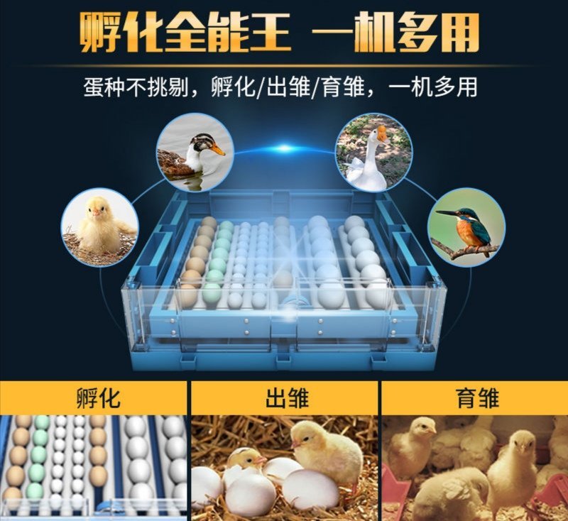 孵化机孵化器(厂家包邮)全自动智能小型家用型小鸡鹅鸭蛋