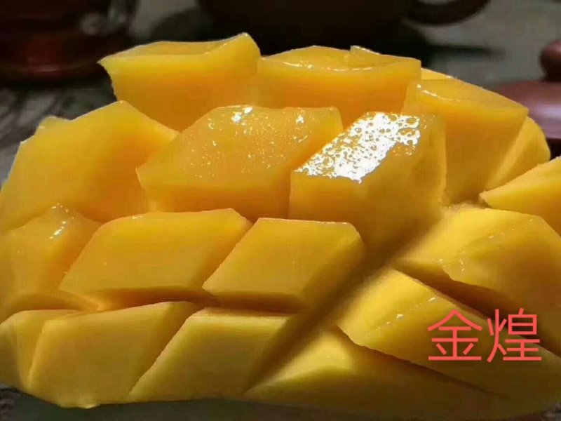 芒果之乡百色田东金煌芒果，支持一件代发！