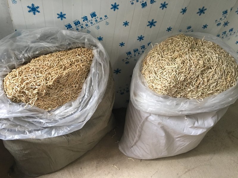 木瓜丝干木瓜精品木瓜丝大量批发广西横县特产酱菜