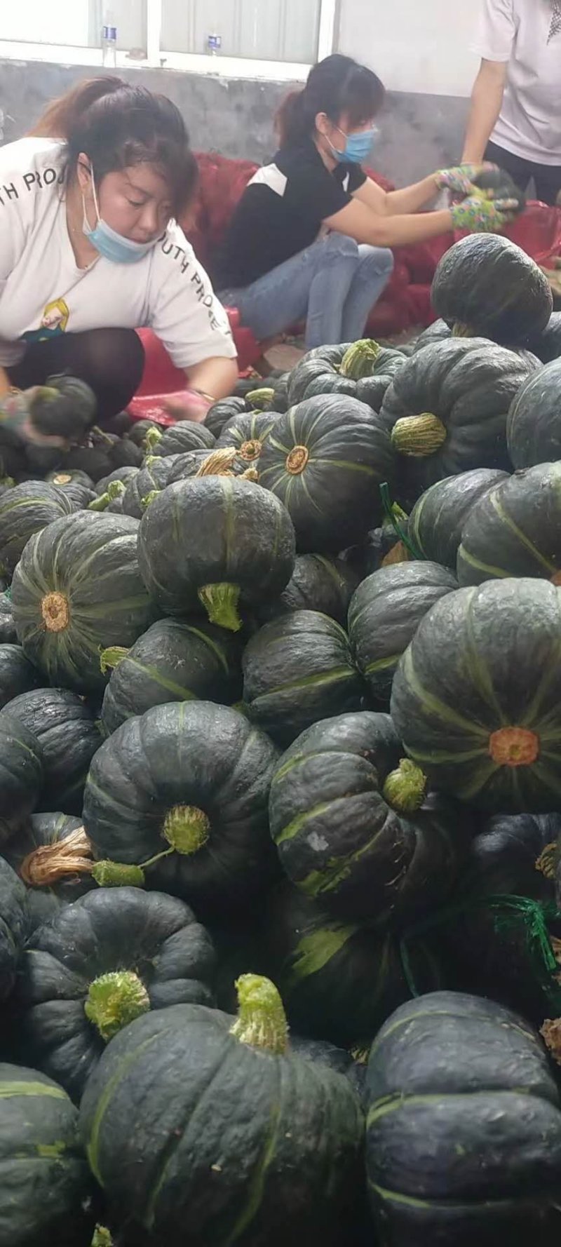 小贝贝南瓜，口感好，粉糯香甜，质量保证，诚信第一