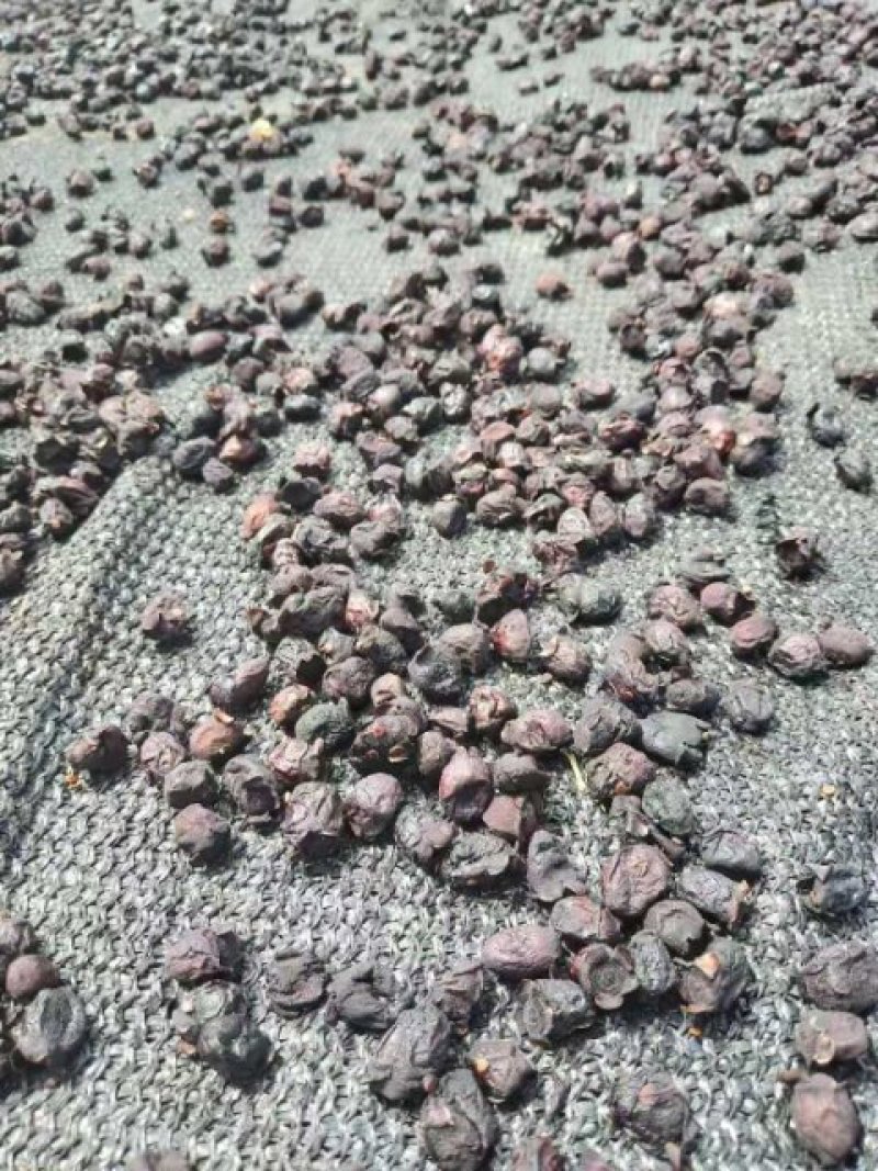 稔子干一件代发一手货源产地直销品质保证价格优惠
