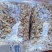 核桃仁陕西商洛深山老树核桃仁全白，质量保证
