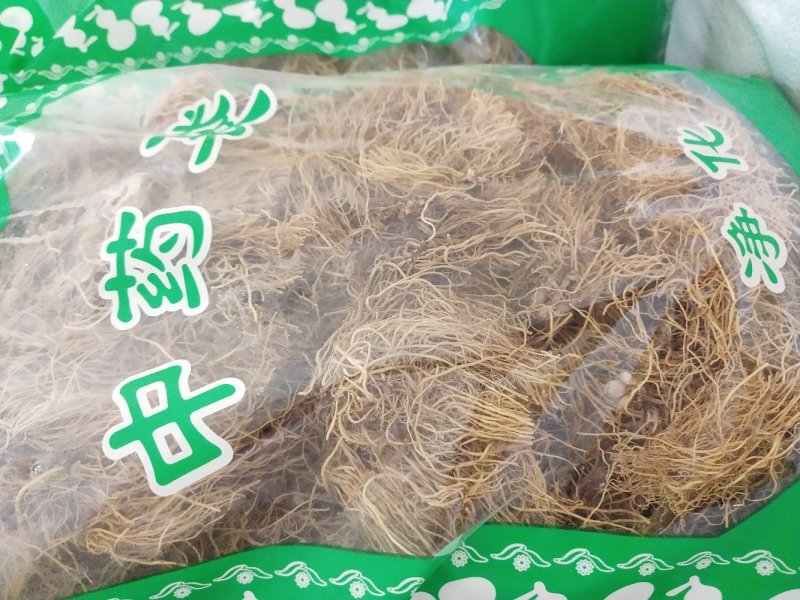 细辛