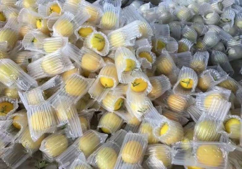 气柱袋包装，代替泡沫珍珠棉发货防震防摔的。