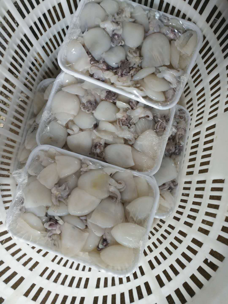 墨鱼子、冷冻墨鱼仔、通货墨鱼仔