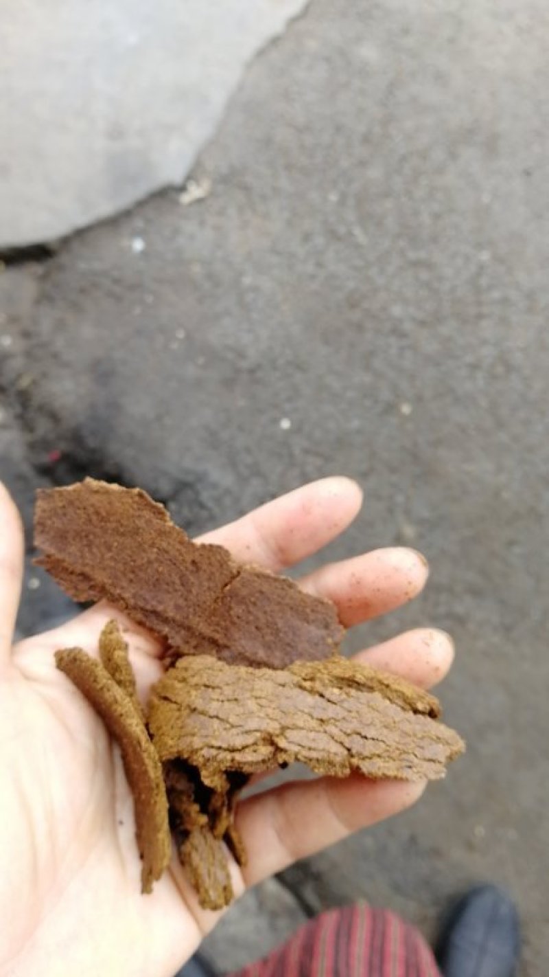 油枯饼有机肥购销