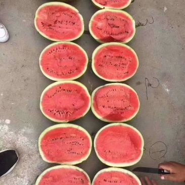 甜王，精品甜王，大红瓤全黑子，产地直供，一手货源。