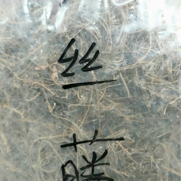 菟丝子藤，常年批发供应冷背中药材菟丝子他