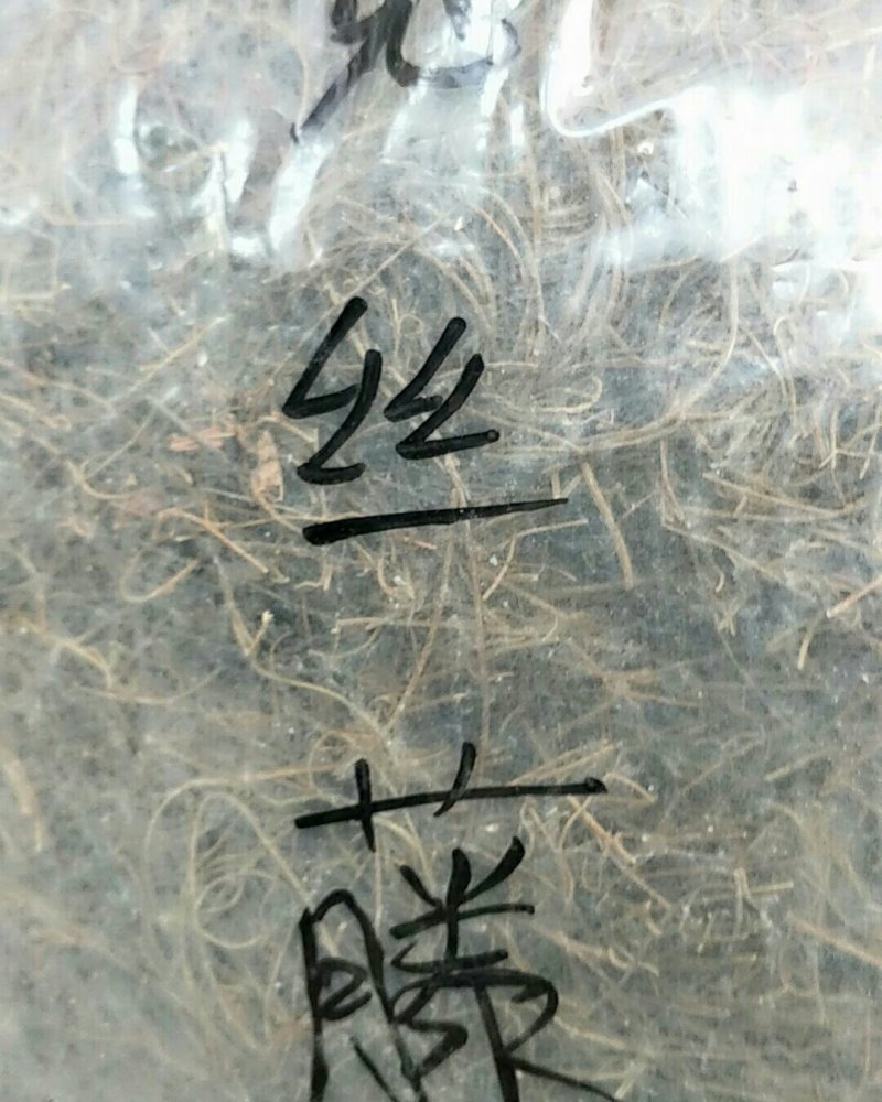 菟丝子藤，常年批发供应冷背中药材菟丝子他