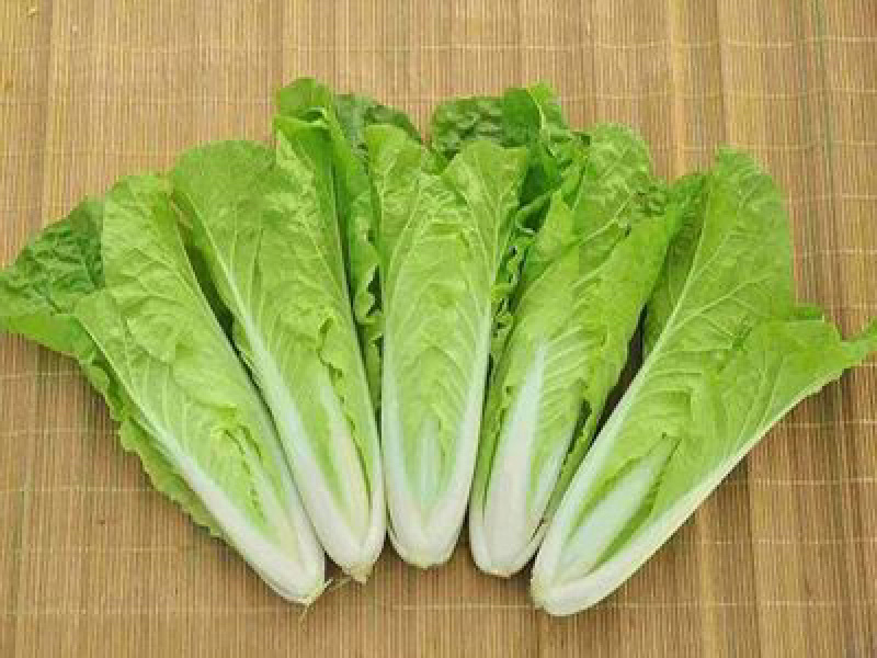 快菜种子早熟速生快菜良达盛农优质产品