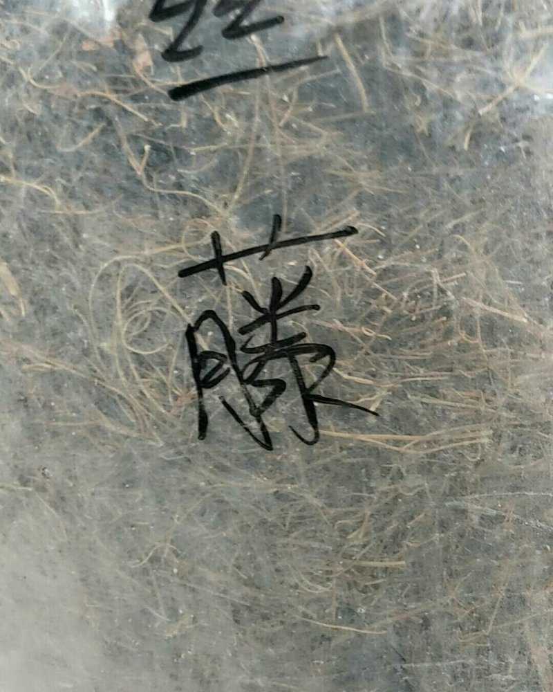 菟丝子藤，常年批发供应冷背中药材菟丝子他