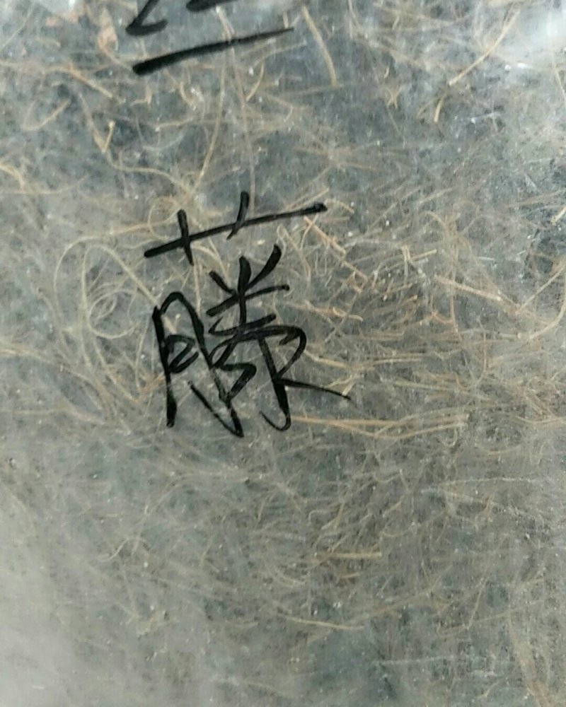 菟丝子藤，常年批发供应冷背中药材菟丝子他