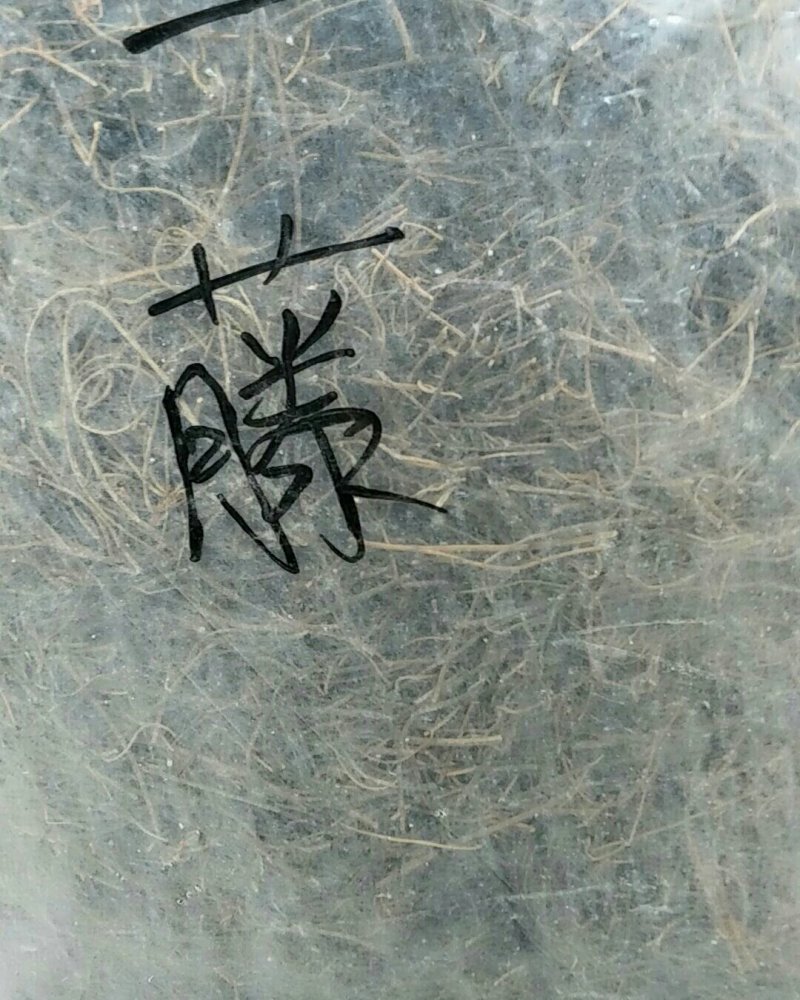 菟丝子藤，常年批发供应冷背中药材菟丝子他