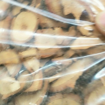 钩藤根，常年批发供应冷背中药材钩藤根