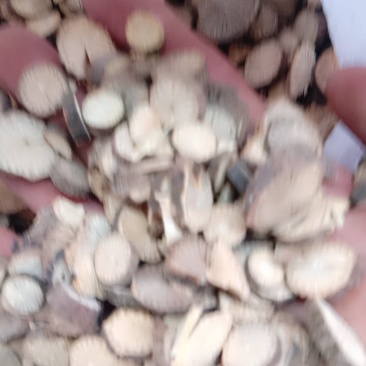 青风藤，常年批发供应青风藤中药材