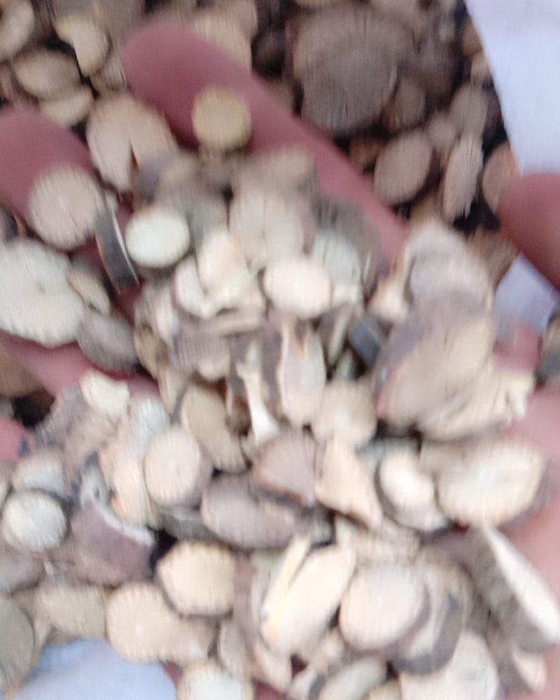 青风藤，常年批发供应青风藤中药材