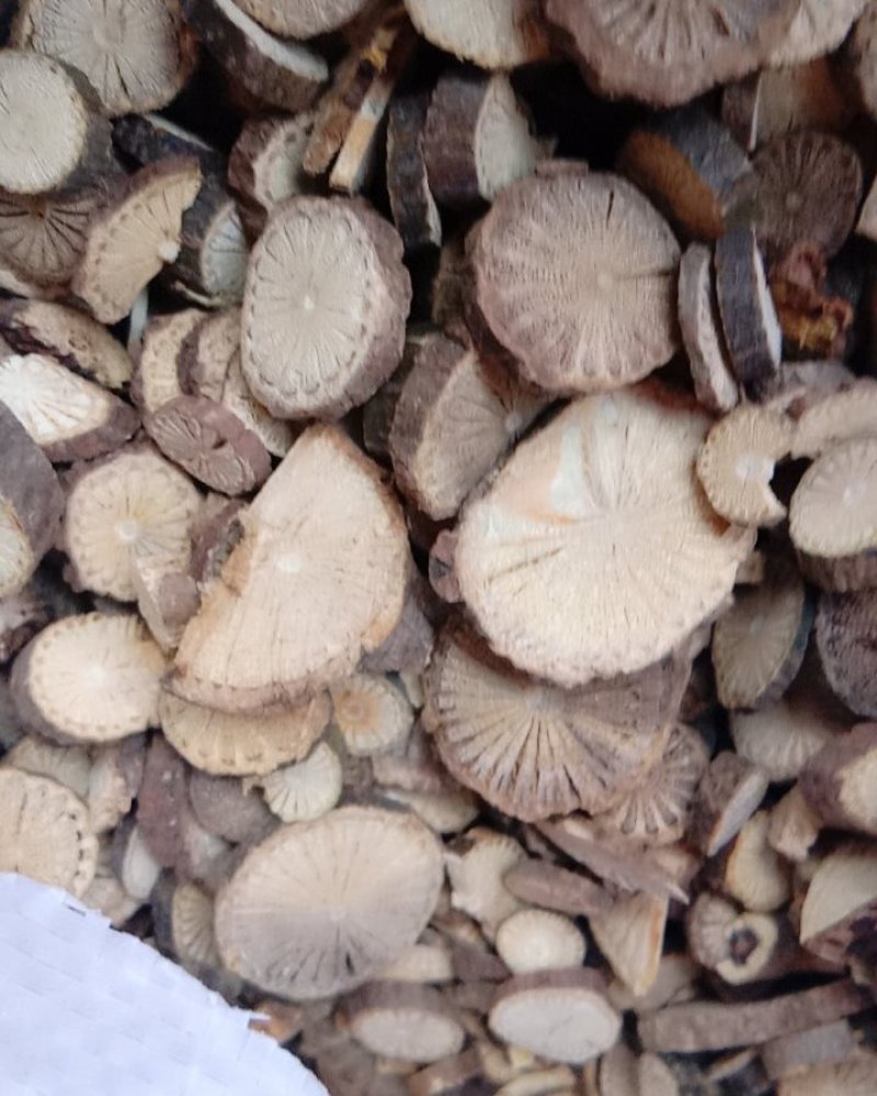 青风藤，常年批发供应青风藤中药材