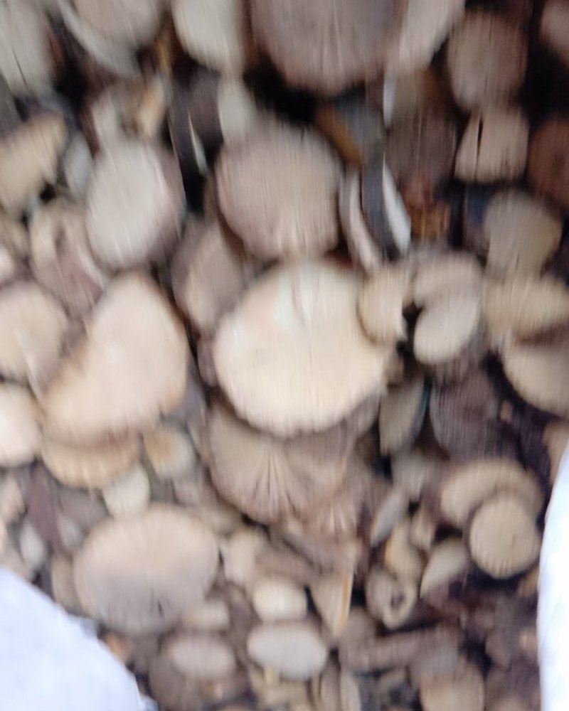青风藤，常年批发供应青风藤中药材