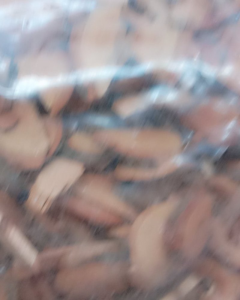 钩藤根，常年批发供应冷背中药材钩藤根