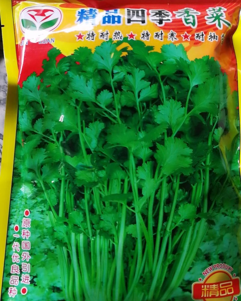 香菜种子耐热耐寒耐抽答抗病高产欢迎购买。