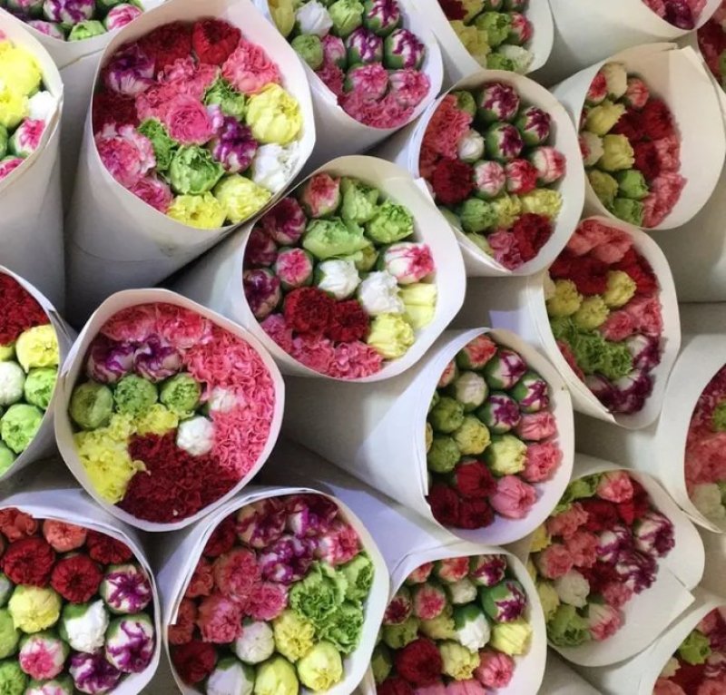 康乃馨鲜切花大量供应昆明基地直发保证质量