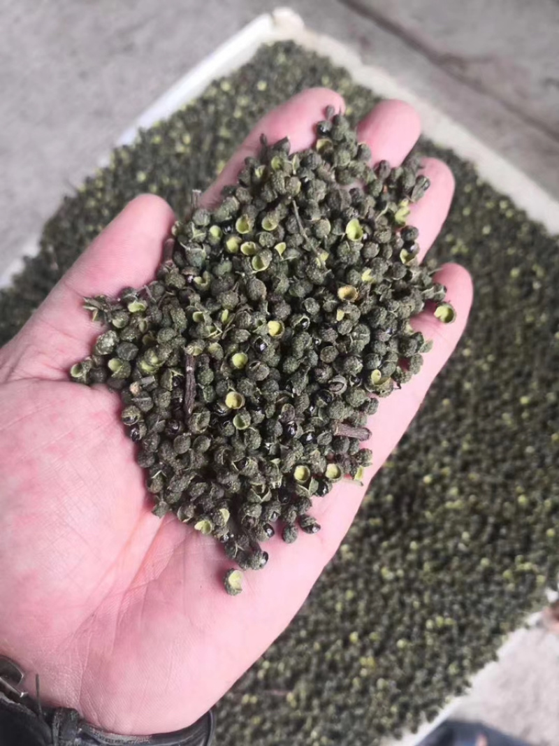 干青花椒，汉源青花椒，卖10元一碗模式，地摊产品