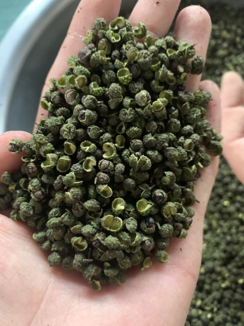 干青花椒，汉源青花椒，卖10元一碗模式，地摊产品