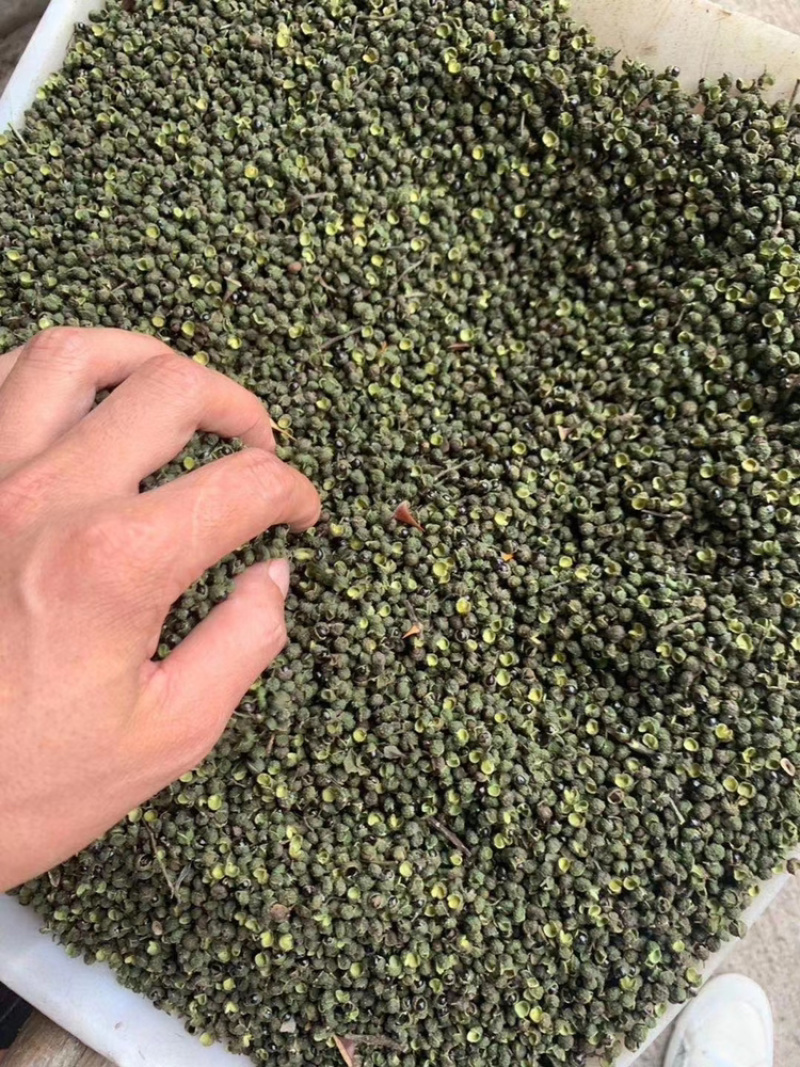 干青花椒，汉源青花椒，卖10元一碗模式，地摊产品