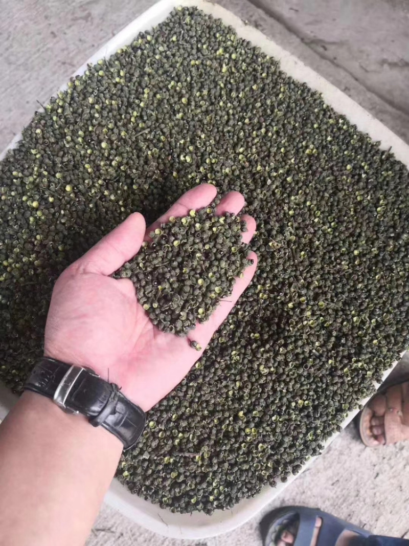 干青花椒，汉源青花椒，卖10元一碗模式，地摊产品