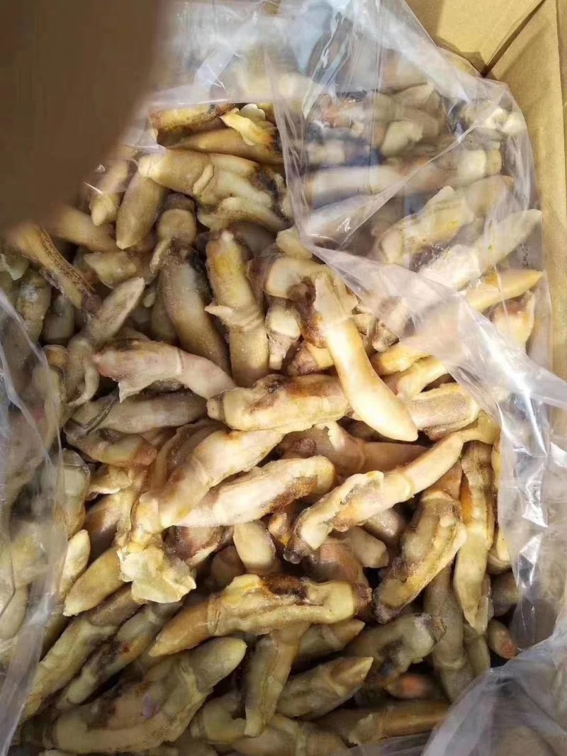 蛏子肉单冻开嘴