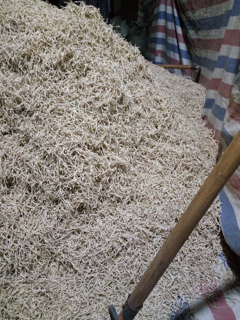 木瓜丝干木瓜精品木瓜丝大量批发广西横县特产酱菜