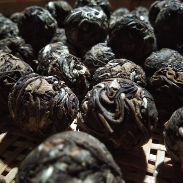 西双版纳原生态普洱茶白茶
