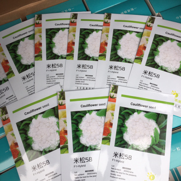 松花菜种子～米松58非常耐热品种