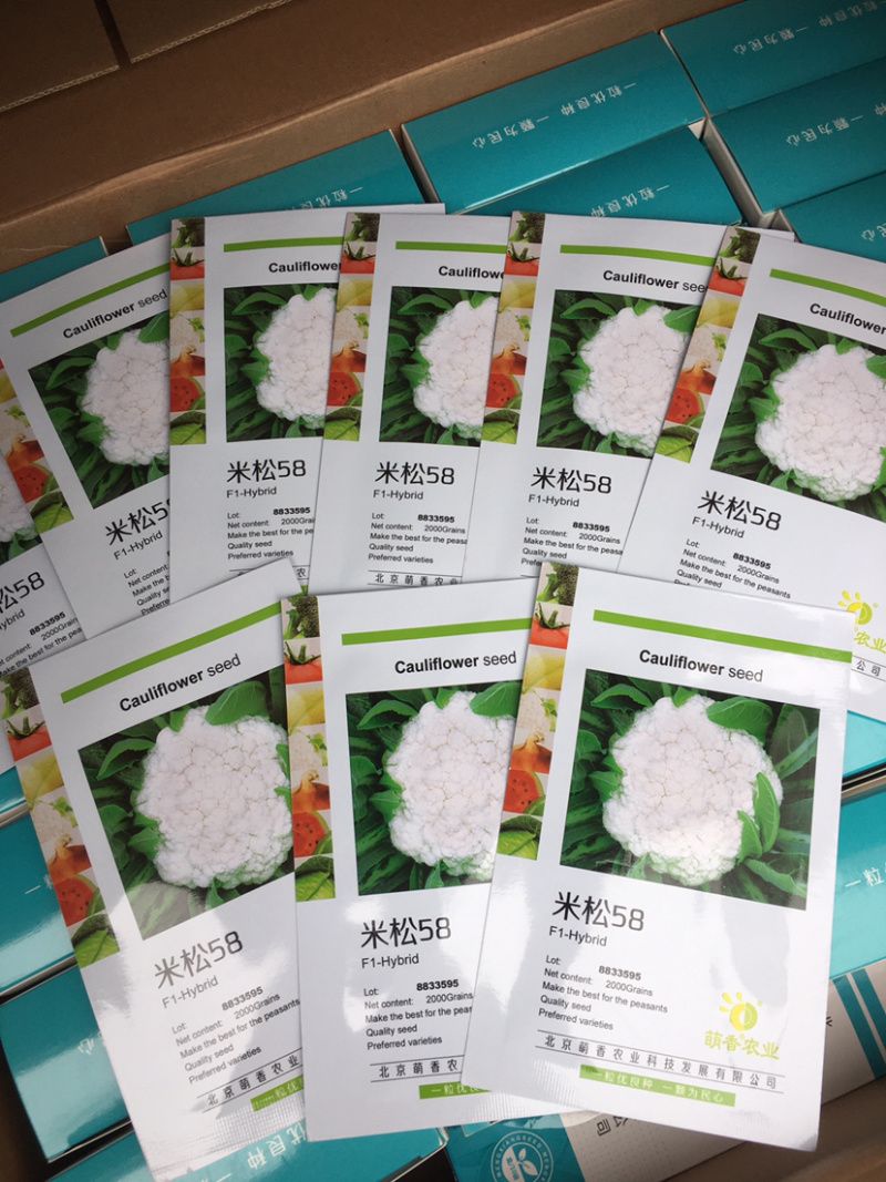 松花菜种子～米松58非常耐热品种