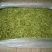 金银花