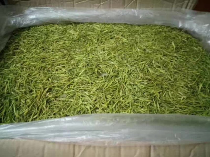 金银花