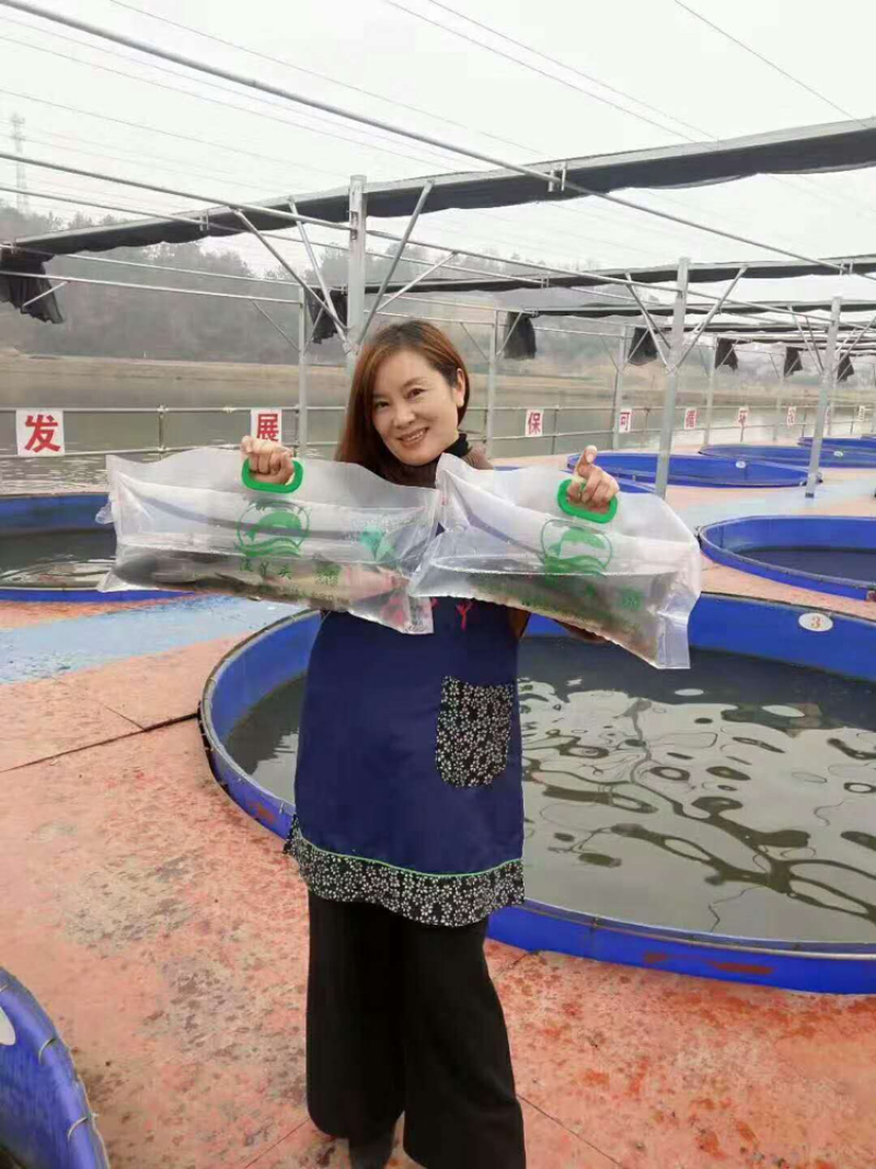 高密度内循环养鱼系统设备