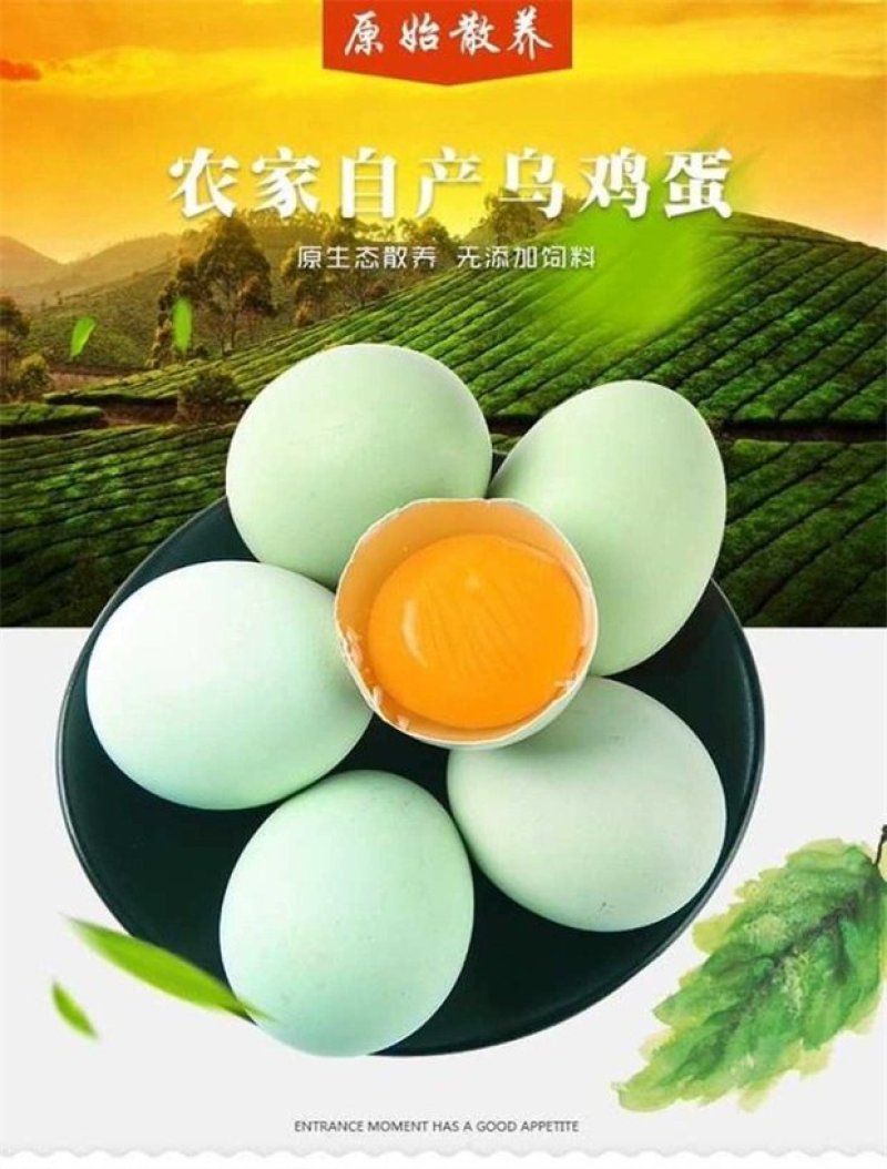 [一件代发]乌鸡蛋农家散养绿壳土鸡蛋乌鸡蛋30枚绿壳鸡蛋
