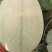 【热销】新疆哈密瓜西州蜜17号金色年华金蜜王西州蜜瓜