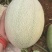 【热销】新疆哈密瓜西州蜜17号金色年华金蜜王西州蜜瓜