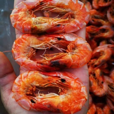 专业批发海产干货