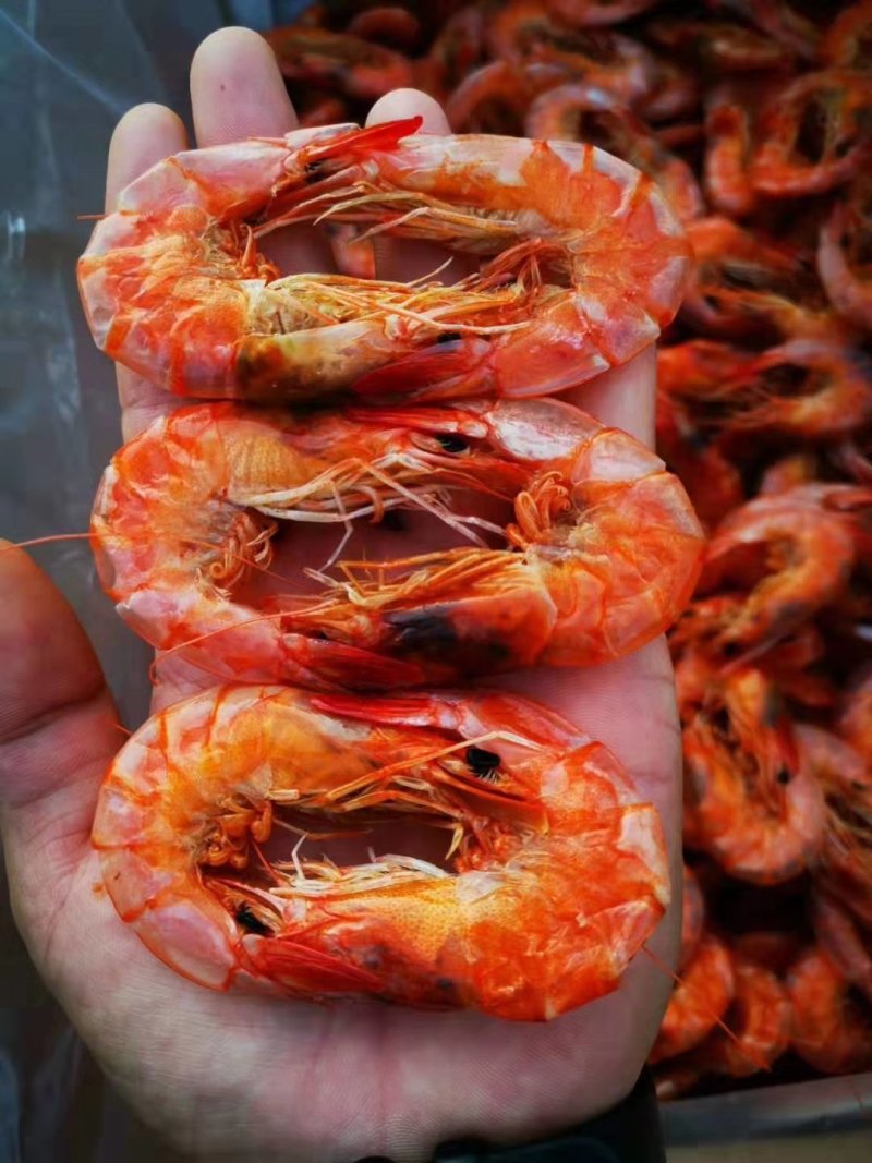 专业批发海产干货