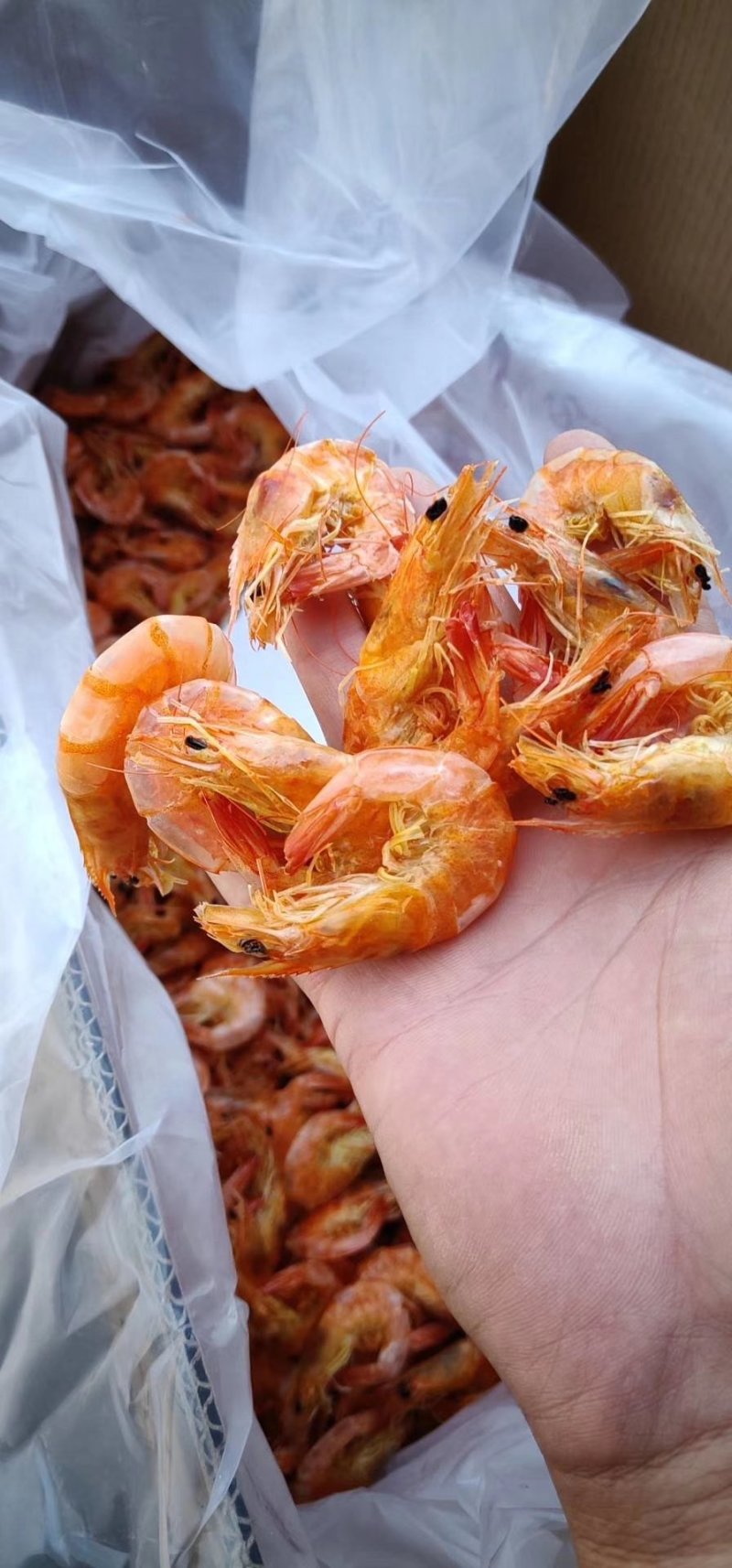 专业批发海产干货
